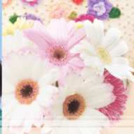 アレルギー科 公式 Sokuyaku パート 4